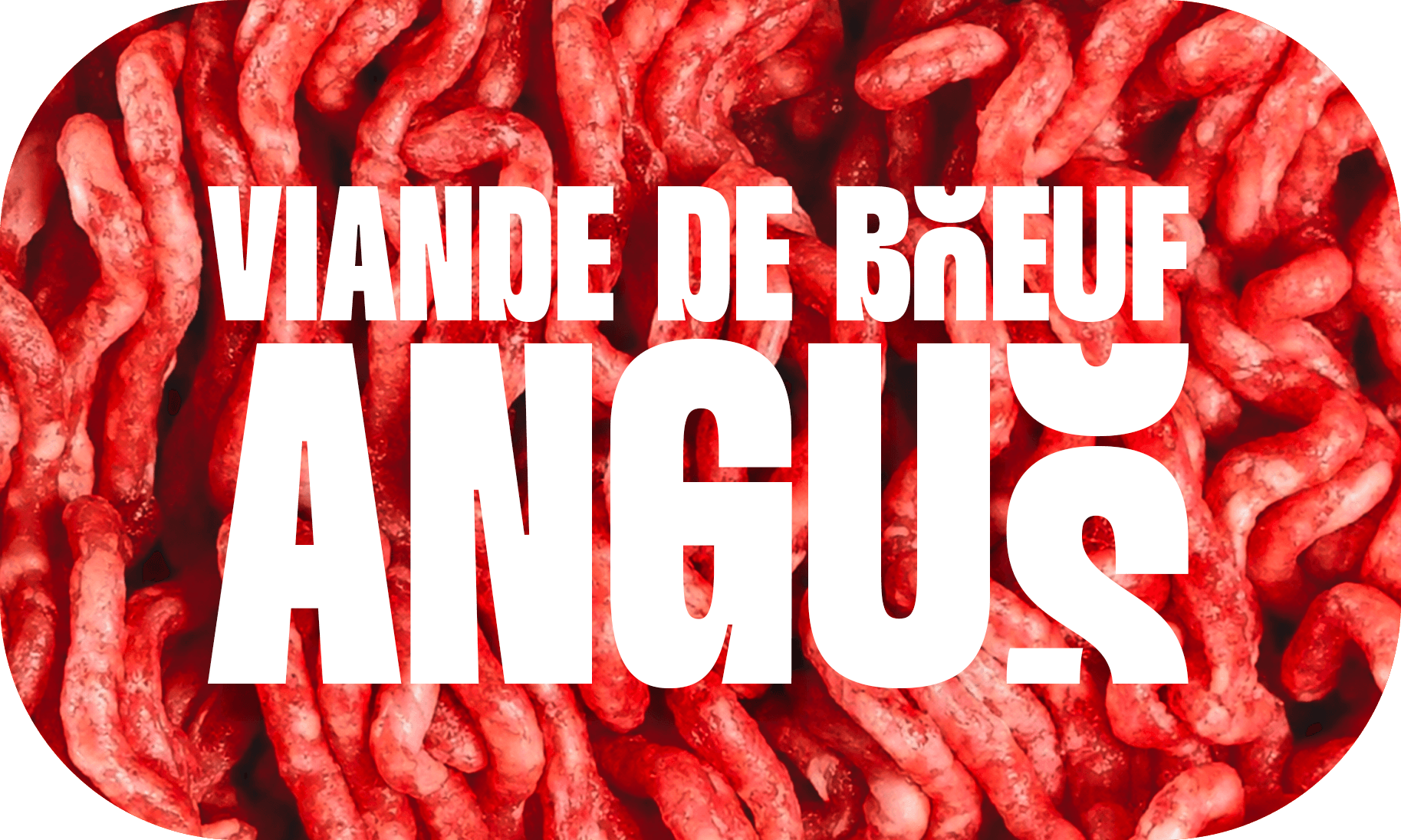 Viande de boeuf Angus