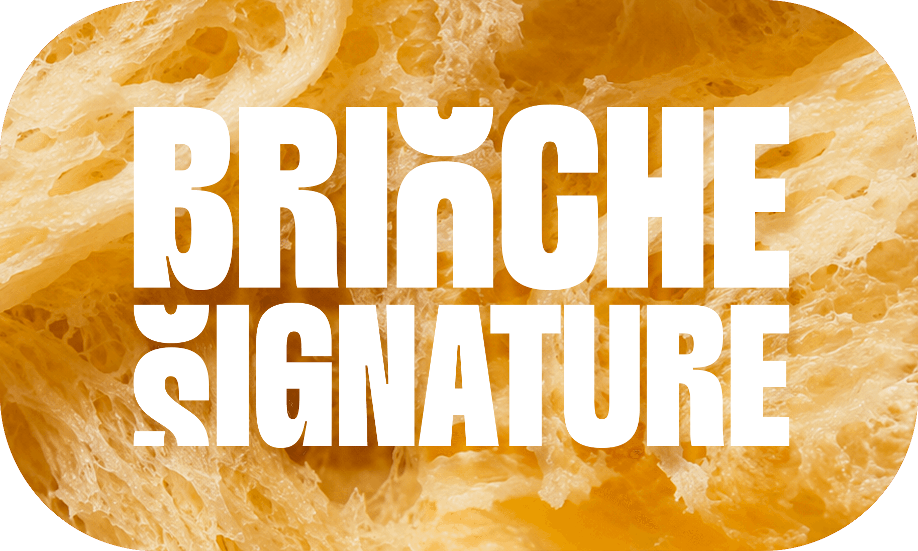Brioche signature